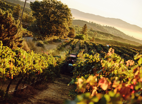 Enkidu Wines